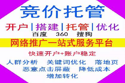 搜索引擎关键词竞价排名的策略调整与案例